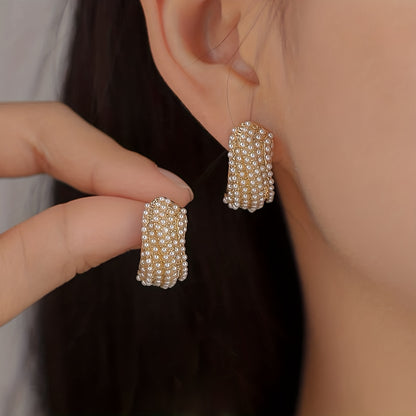 Elegant Temperament Style Earrings